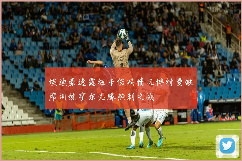 埃迪豪透露纽卡伤病情况博特曼缺席训练霍尔无缘热刺之战