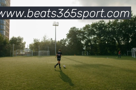 beats365体育平台生态图