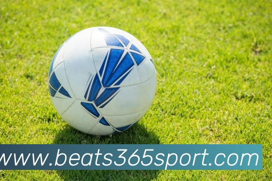 beats365体育APP 封面图